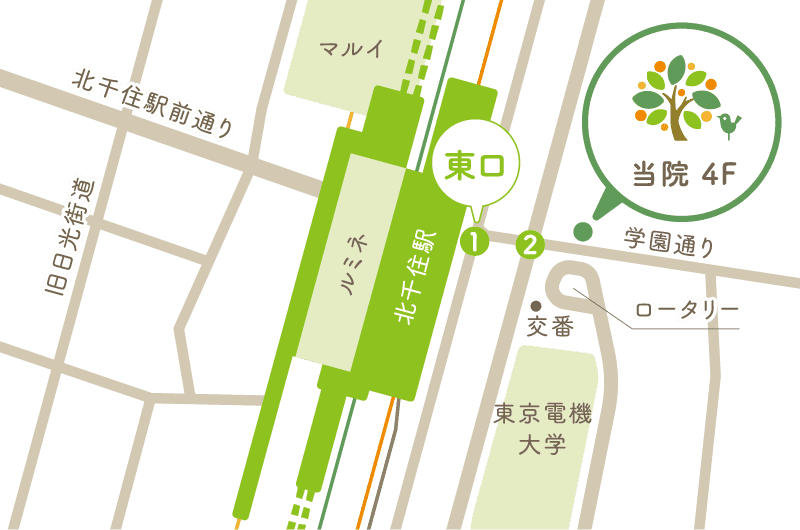 北千住駅前ファミリー皮膚科のイラストマップ